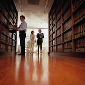 government contract & business attorneys